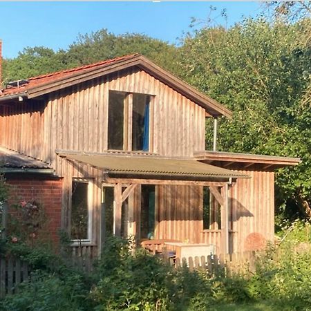 Natur Kunst Ferienhaus Neu Darchau Eksteriør billede